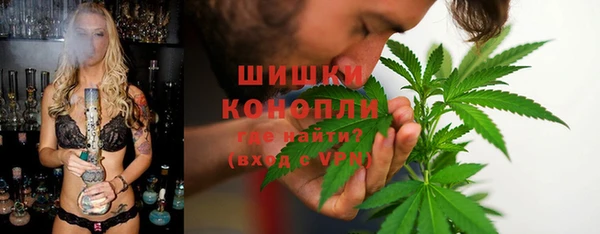 ешки Дмитриев