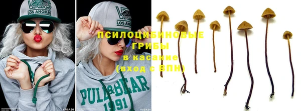 mdma Дмитровск
