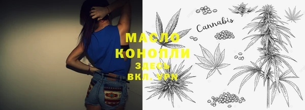 ешки Дмитриев