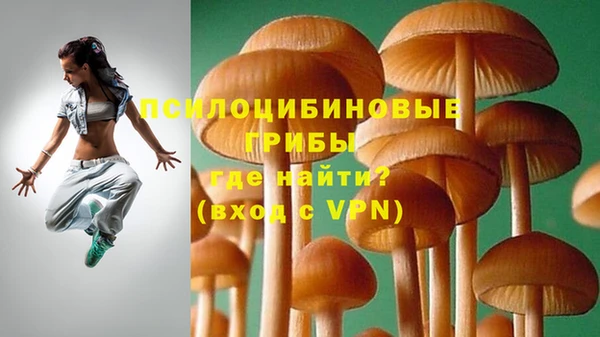 ешки Дмитриев