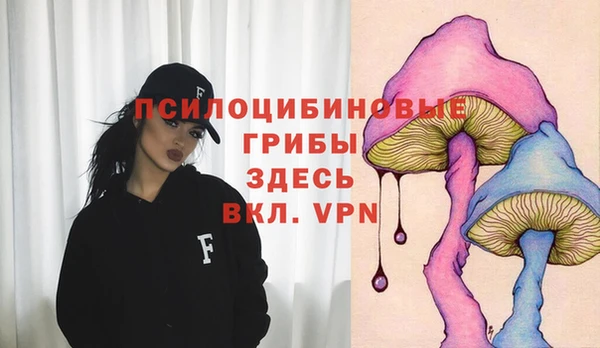 mdpv Дмитров