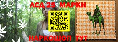 a pvp Свободный