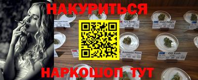 a pvp Свободный