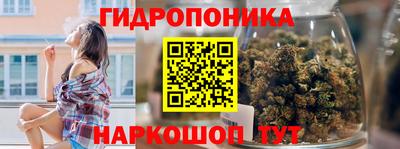 a pvp Свободный