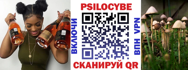 Галлюциногенные грибы Cubensis  сколько стоит  Снежинск 