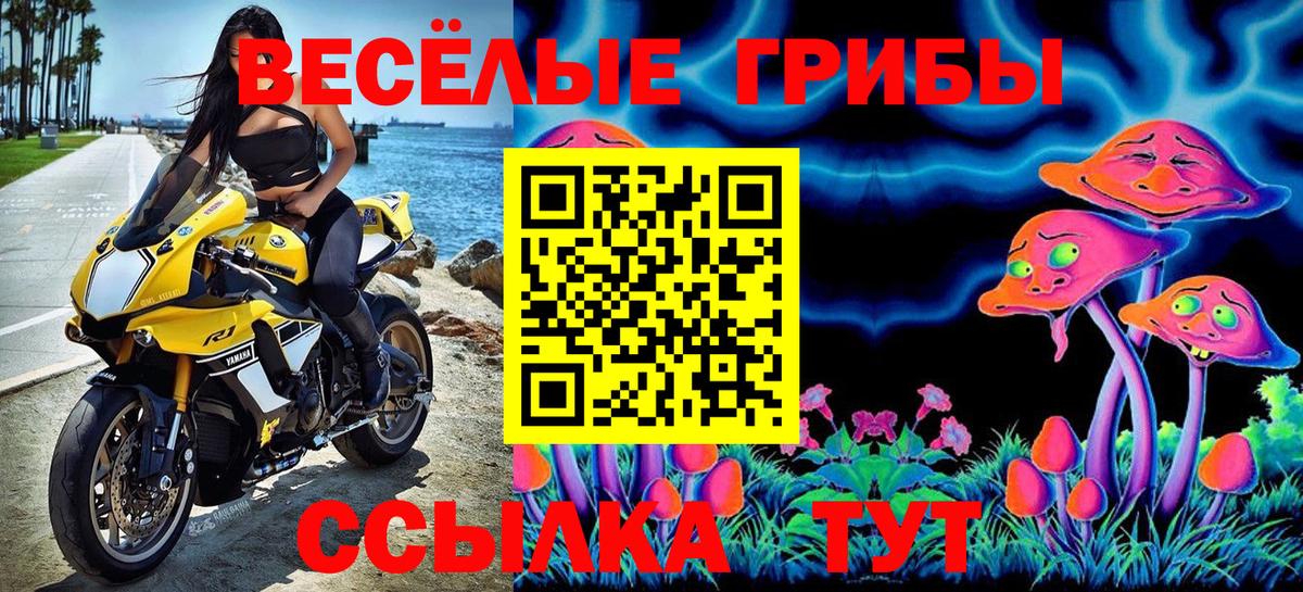 Галлюциногенные грибы мицелий  Вход с VPN  Снежинск 
