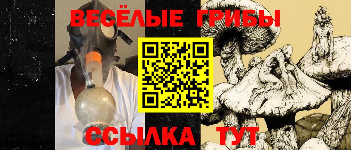 Галлюциногенные грибы GOLDEN TEACHER Снежинск